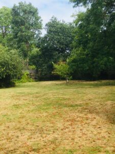 Garden at Friends Meeting House, Ealing