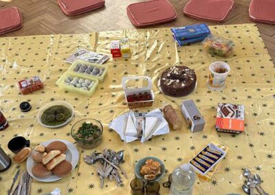 Food on blanket, and cushions